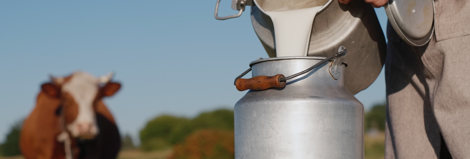¿Quiere mejorar la calidad de la leche de su hato?