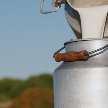 ¿Quiere mejorar la calidad de la leche de su hato?