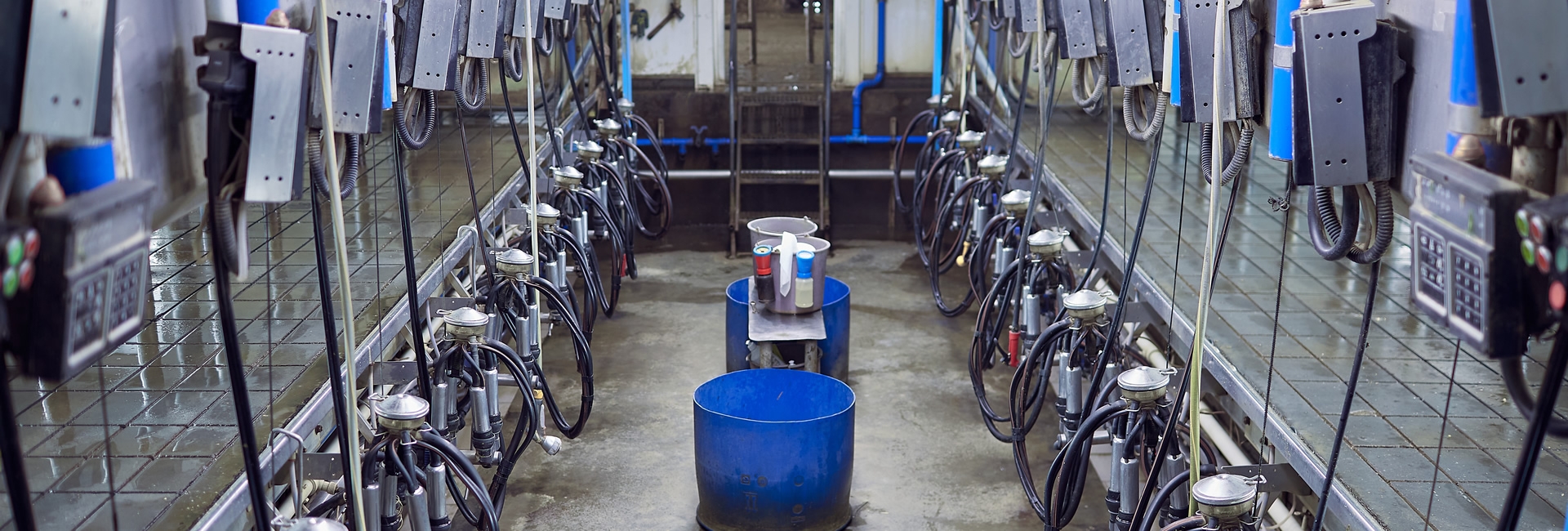 ¿Se puede tecnificar el hato con equipos de ordeño?